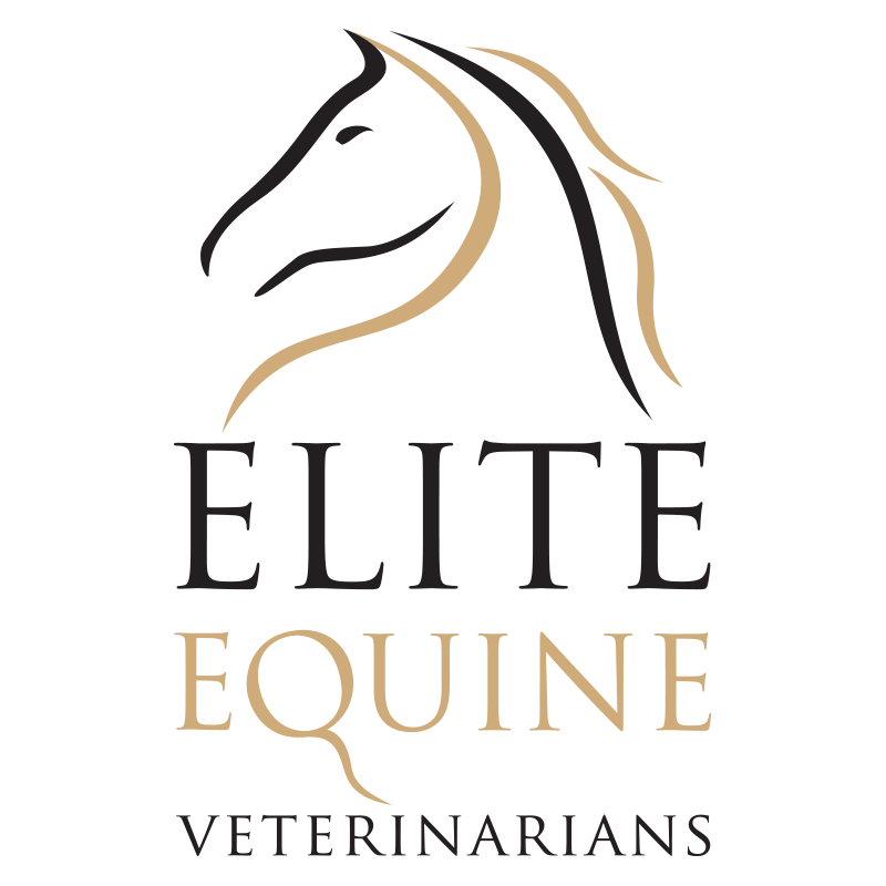 JE Sponsor – Elite Equine Veterinarians