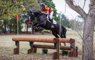 Sam Jeffree riding Woodmount Lolita at Ballarat Horse Trials 2018