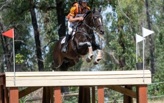 Sam Jeffree with Fiona Mitchell's Woodmount Lolita at Tonimbuk Horse Trials 2021 — photo by Tilly McDonald