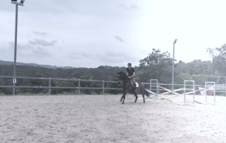 Jeffree Eventing — jumping into 2022